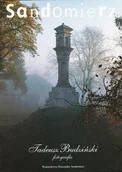 Felietony i reportaże - Sandomierz - miniaturka - grafika 1