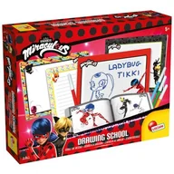 Kolorowanki, wyklejanki - Szkoła Rysowania Biedronka i Czarny Kot, Lisciani - miniaturka - grafika 1