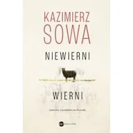 Felietony i reportaże - Niewierni wierni. Rozmowy o prawdziwym Kościele - miniaturka - grafika 1