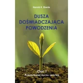 Religia i religioznawstwo - Dusza doświadczająca powodzenia - miniaturka - grafika 1