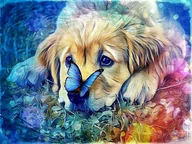 Zabawki kreatywne - Mozaika Diamentowa Malowanie Diamond Painting 5D - miniaturka - grafika 1