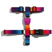 Szelki dla psów - Zee Dog Szelki dla psa tęczowe ombre Prisma L - miniaturka - grafika 1