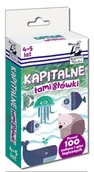 Książki edukacyjne - Edgard Kapitalne łamigłówki 4-5 lat. Kapitan Nauka - Opracowanie zbiorowe, Opracowanie zbiorowe - miniaturka - grafika 1