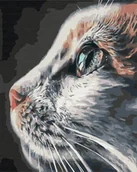 Malowanie po numerach - Artnapi 40x50cm Zestaw Do Malowania Po Numerach - Profil kota - Na Drewnianej Ramie - miniaturka - grafika 1