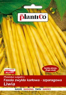 NASIONA Fasola Szparagowa Karłowa Liwia 40g PLANTICO Żółta 407718 - Nasiona i cebule - miniaturka - grafika 1