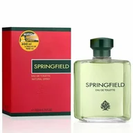 Wody i perfumy męskie - Springfield, Woda toaletowa, 200 ml - miniaturka - grafika 1
