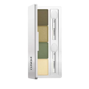 Clinique All About Shadow Quad Cień do powiek, On Safari On Safari 3.3 g - Cienie do powiek - miniaturka - grafika 1