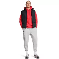 Spodnie sportowe męskie - Męskie spodnie dresowe Under Armour UA Icon Flc 24/7 Jgr - szare - UNDER ARMOUR - miniaturka - grafika 1