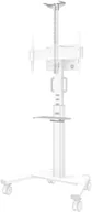 Uchwyty do telewizora - Uchwyt do wideobaru i multimediów Neomounts AFLS-825WH1 White (8717371449681) - miniaturka - grafika 1