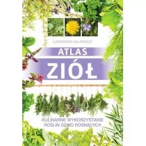 SBM Atlas ziół - Aleksandra Halarewicz - Rośliny i zwierzęta - miniaturka - grafika 2