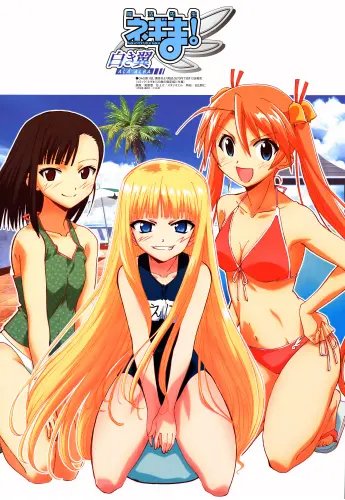 Plakat Magister Negi Magi MSN_016 A1+ (custom)