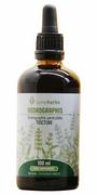 Lymeherbs Andrographis nalewka 1:5 (100ml) E15