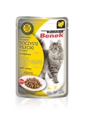 Mokra karma dla kotów - Super Benek Saszetka Fileciki w Sosie z Indykiem 85G - miniaturka - grafika 1