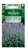 Nasiona i cebule - Mięta meksykańska 0,1 g Vilmorin - miniaturka - grafika 1