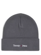 Czapki męskie - Tommy Jeans - Czapka męska, szary - miniaturka - grafika 1