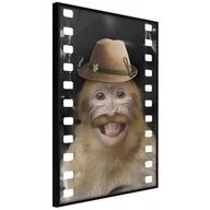 Plakaty - Plakat - Przebrana małpka (rozmiar 40x60, wykończenie Rama złota z passe-partout) - miniaturka - grafika 1