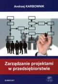 Technika - Zarządzanie projektami w przedsiębiorstwie - miniaturka - grafika 1