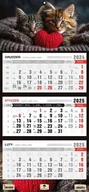 Kalendarze - Kalendarz 2025 trójdzielny kotki kt1âv.63 - miniaturka - grafika 1
