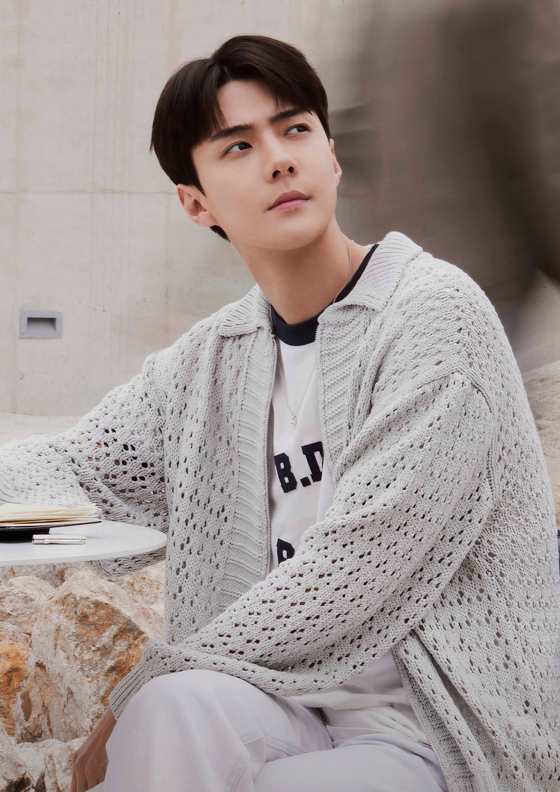 Plakat A2 Exo K-Pop Kpop Korea Muzyka Sehun