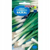 Nasiona i cebule - CEBULA SIEDMIOLATKA BAJKAŁ 3G - miniaturka - grafika 1