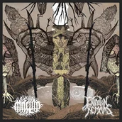 Dodatki do ubrań - SPLIT frotka SPLIT SPLIT Black - miniaturka - grafika 1