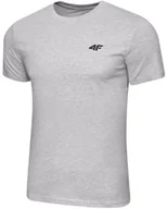 Koszulki męskie - KOSZULKA MĘSKA BAWEŁNIANA T-SHIRT SPORTOWY 4F M2256 r L - miniaturka - grafika 1