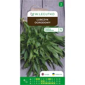 Nasiona i cebule - Lubczyk ogrodowy Levisticum officinale nasiona ziół W.Legutko - miniaturka - grafika 1