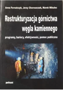 Restrukturyzacja górnictwa węgla kamiennego - Biznes - miniaturka - grafika 1