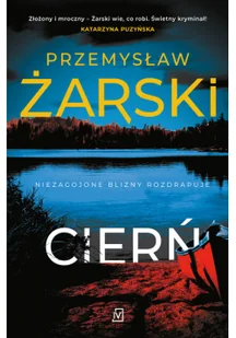 Czwarta Strona Cierń. Seria z Robertem Kreftem. Tom 3 LIT-42082 - Powieści sensacyjne - miniaturka - grafika 2