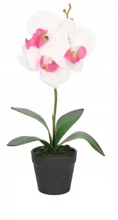 Storczyk Orchidea Sztuczne Kwiaty W Doniczce - Sztuczne kwiaty - miniaturka - grafika 1