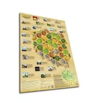 Galakta Catan: Polska - Gry planszowe - miniaturka - grafika 1