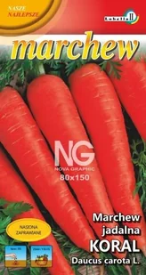 Marchew Koral późna 3g / L / - Nasiona i cebule - miniaturka - grafika 1