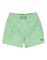 Kąpielówki dla chłopców - Billabong Chłopięce All Day Lb BoardShorts (1 opakowanie) - miniaturka - grafika 1