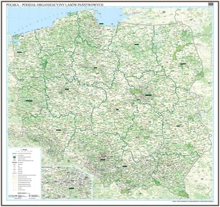 EkoGraf, Polska - podział organizacyjny Lasów Państwowych mapa ścienna na podkładzie do wpinania - pinboard, 1:500 000 - Mapy i plansze edukacyjne - miniaturka - grafika 1