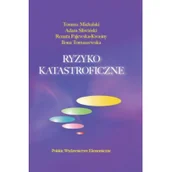 Ekonomia - Polskie Wydawnictwo Ekonomiczne Ryzyko katastroficzne - Opracowanie zbiorowe - miniaturka - grafika 1