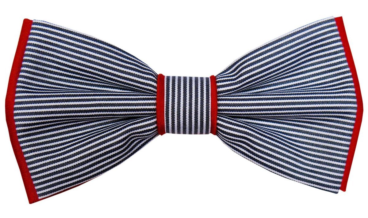 Mucha w grafitowo - białe paski A177 B2