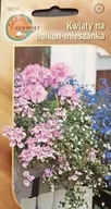 Nasiona i cebule - Kwiaty Balkonowe Mix 0,2 G Na Tarasy I Balkony - miniaturka - grafika 1