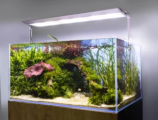 AQUAEL Oświetlenie ULTRA SLIM BT 30 - Oświetlenie akwarium - miniaturka - grafika 14