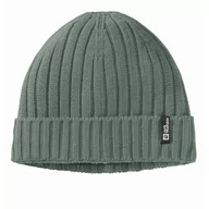 Czapki męskie - Czapka zimowa Jack Wolfskin RIB KNIT BEANIE hedge green - ONE SIZE - miniaturka - grafika 1