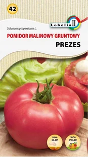 Pomidor malinowy Prezes nasiona 0,5g / L / - Nasiona i cebule - miniaturka - grafika 1