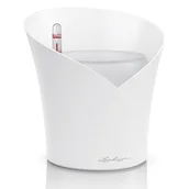 Donice - Lechuza Donica ORCHIDEA ALL-IN-ONE, kolor biały matowy - miniaturka - grafika 1