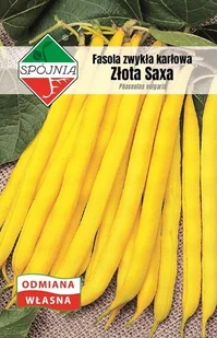 NASIONA Fasola Zwykła Karłowata Złota Saxa 50g SPÓJNIA Żółta 700220 - Nasiona i cebule - miniaturka - grafika 1