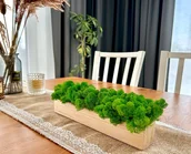 Donice - Kompozycja doniczka kostka drewniana mech chrobotek - miniaturka - grafika 1