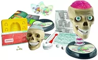 Mały naukowiec - Anatomia Człowieka Model Czaszki Zabawa I Nauka Dla Dzieci Zabawki Kreatywne Naukowe Zestawy - miniaturka - grafika 1