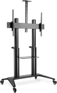 Uchwyty do telewizora - Digitus Stojak mobilny pojedynczy z półkš i uchwytem na kamerę, 1xLCD max. 120' max. 140kg, VESA max. 1000x600 - miniaturka - grafika 1