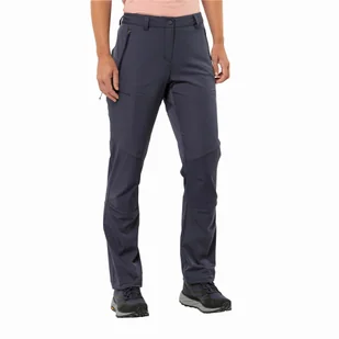 Damskie spodnie trekkingowe Jack Wolfskin HIKING ALPINE PANTS W graphite - 34 - Spodnie sportowe damskie - miniaturka - grafika 1