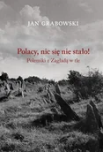 Historia świata - Austeria Polacy, nic się nie stało! Polemiki z Zagładą w tle Jan Grabowski - miniaturka - grafika 1