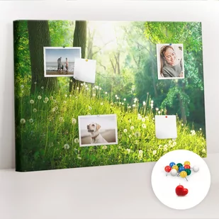 Organizer, Tablica korkowa 100x70 cm + Kolorowe Pinezki - Natura wiosenna - Tablice i flipcharty - miniaturka - grafika 1