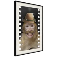 Plakaty - Plakat - Przebrana małpka (rozmiar 40x60, wykończenie Rama złota z passe-partout) - miniaturka - grafika 1
