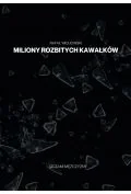 Rozwój osobisty - Miliony rozbitych kawałków - miniaturka - grafika 1